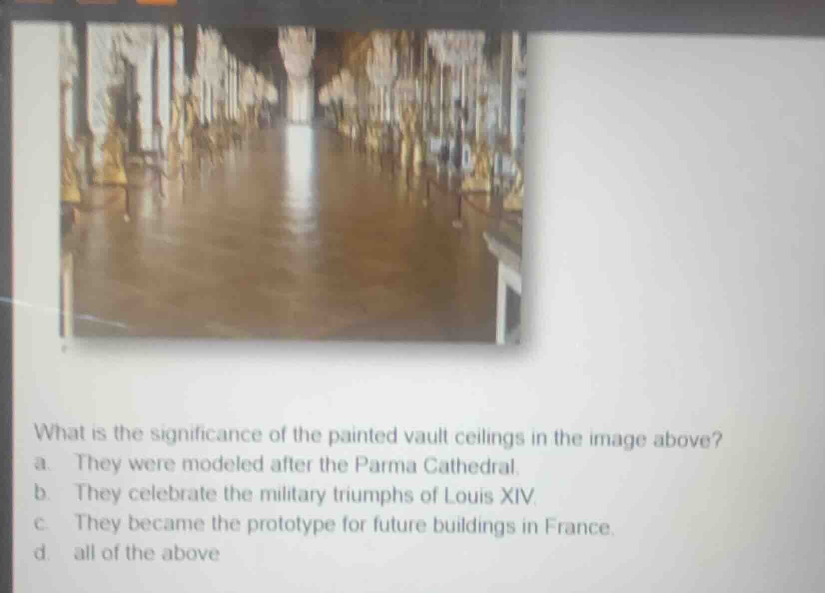 what is the significance of the painted vault ceilings in the image abo…