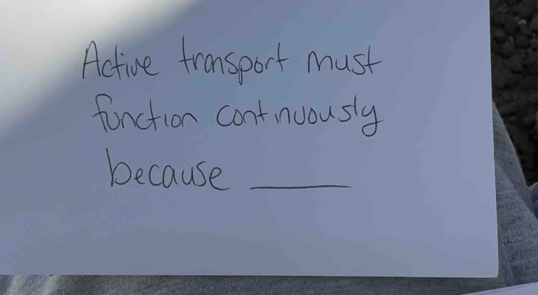 active transport must function continuously because ______