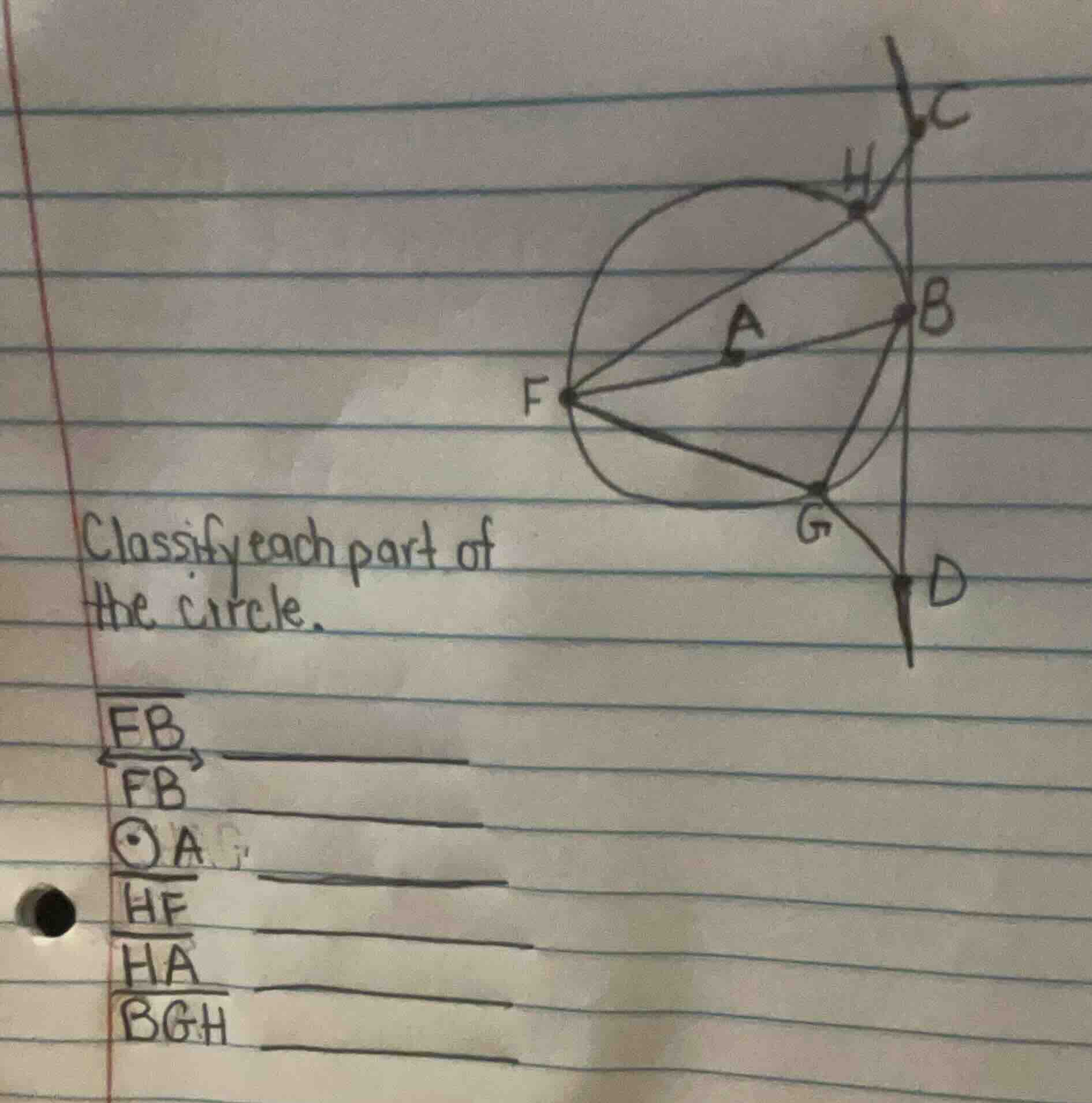 classify each part of the circle. \\(\\overleftrightarrow{fb}\\) ______…