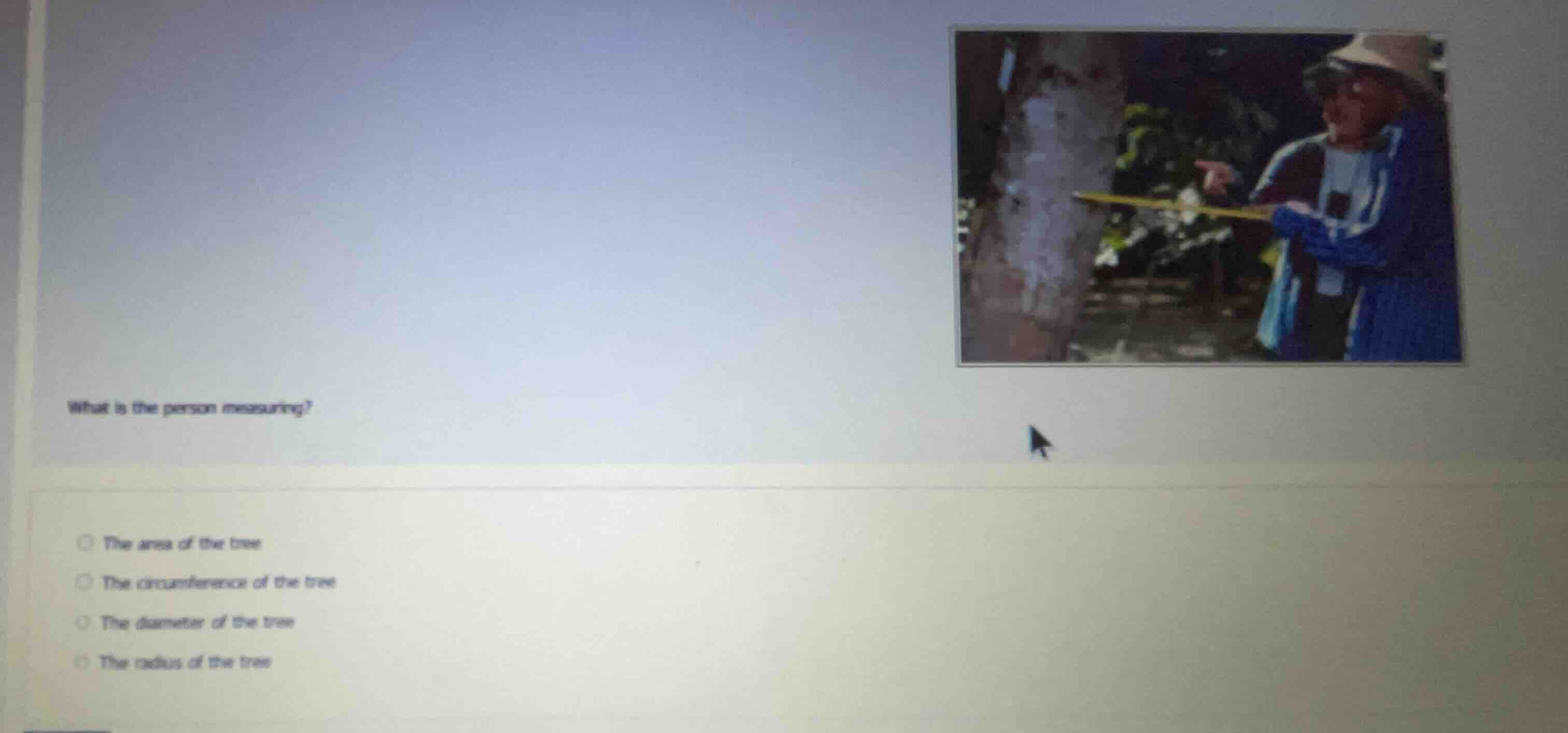 what is the person measuring? - the area of the tree - the circumferenc…