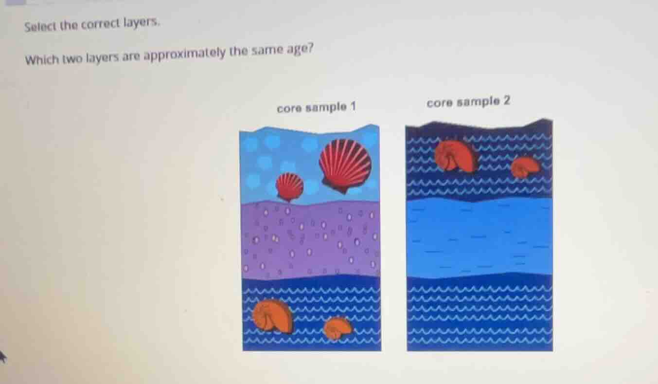 select the correct layers. which two layers are approximately the same …