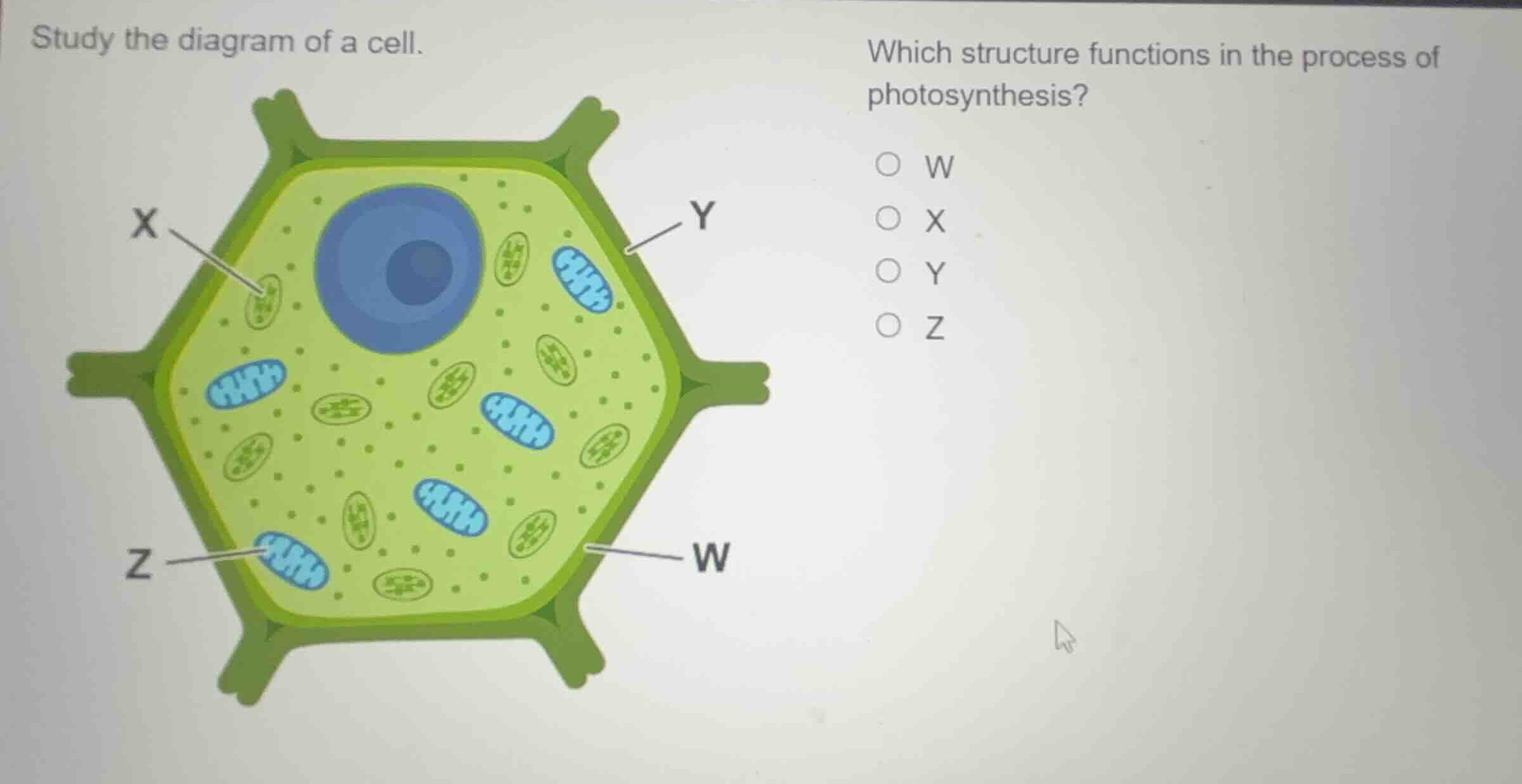 study the diagram of a cell. which structure functions in the process o…