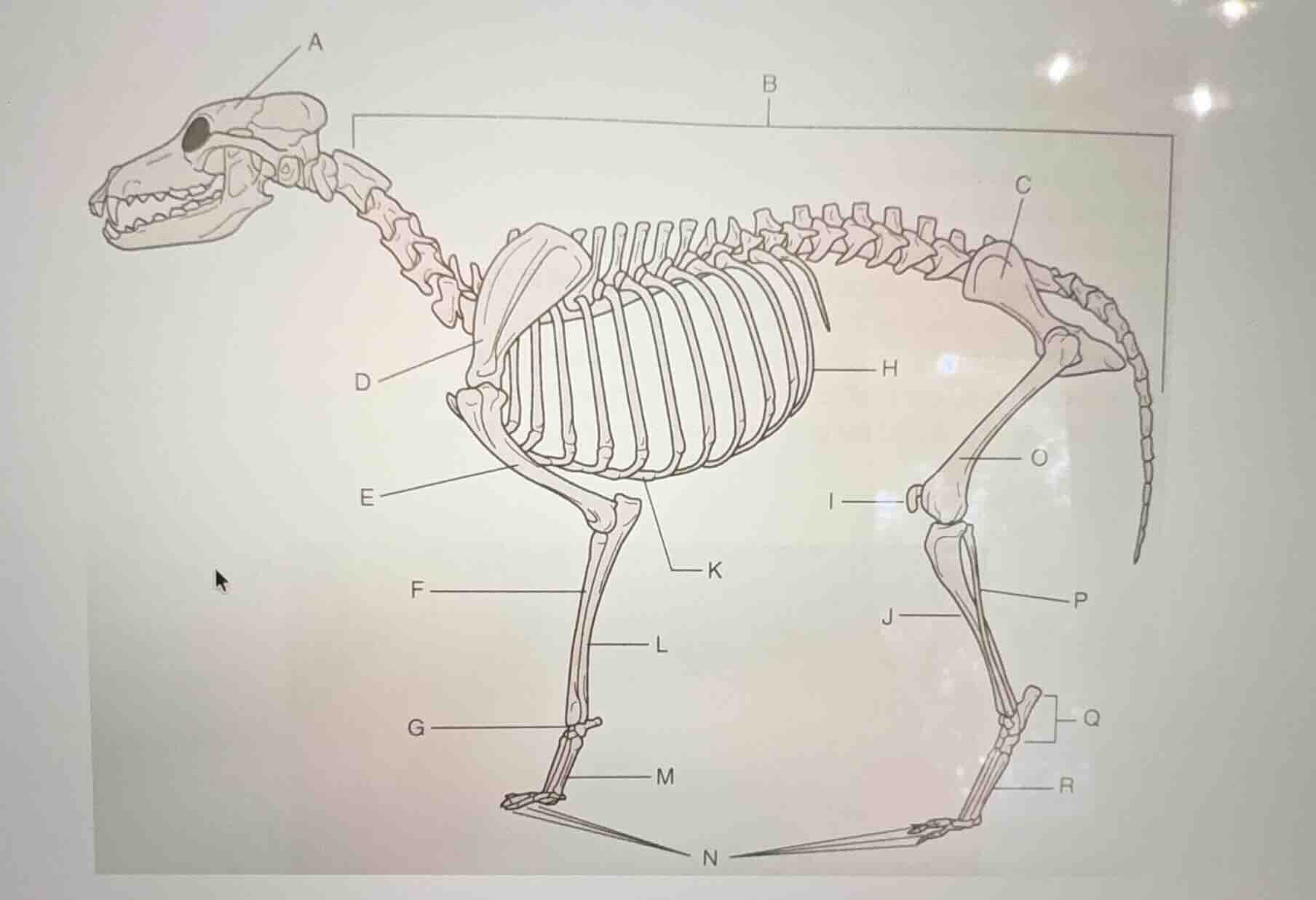 a b c d h e o i k f p j l q g r m n