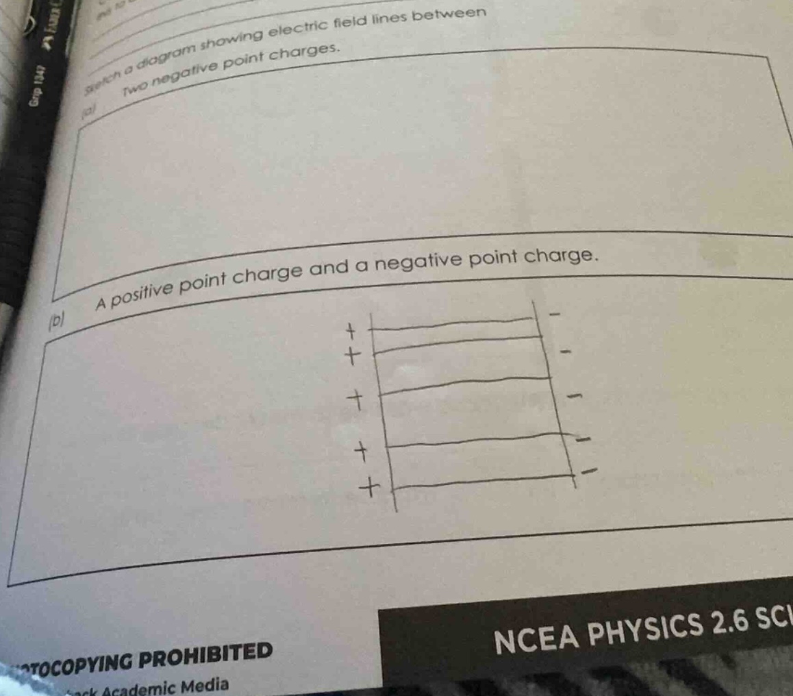 sketch a diagram showing electric field lines between (a) two negative …