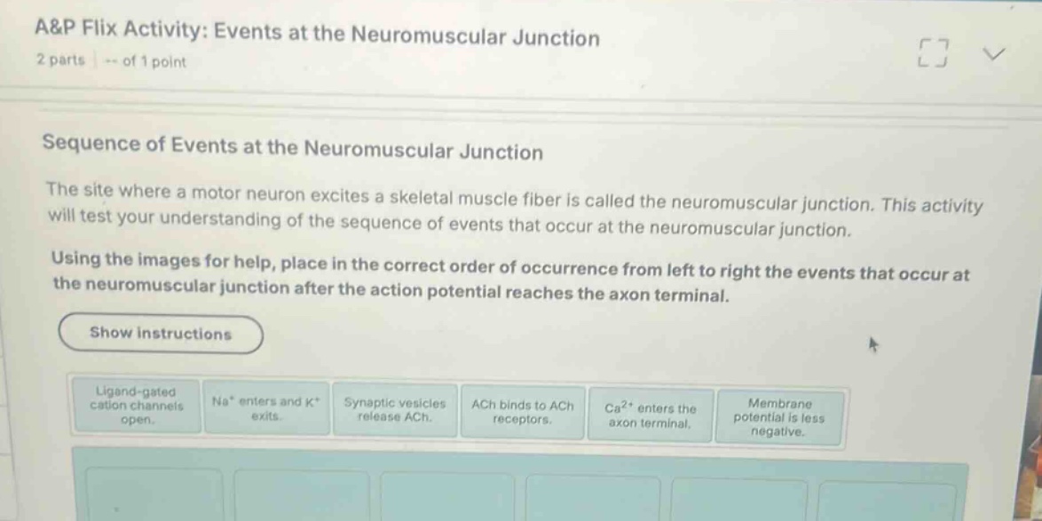 a&p flix activity: events at the neuromuscular junction 2 parts | -- of…