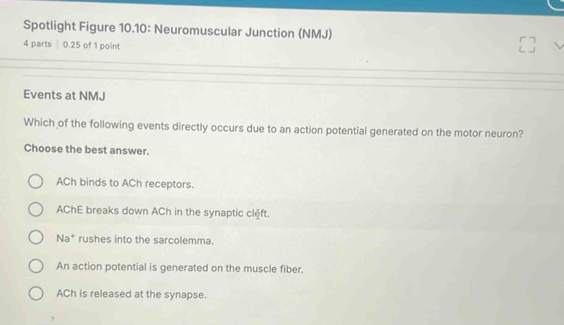spotlight figure 10.10: neuromuscular junction (nmj) 4 parts | 0.25 of …