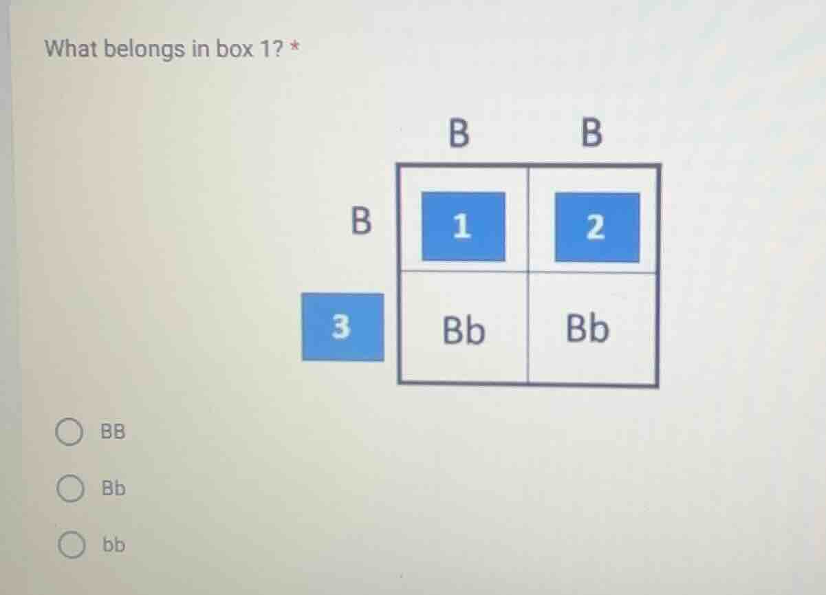 what belongs in box 1? * bb bb bb