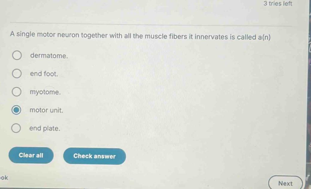 a single motor neuron together with all the muscle fibers it innervates…
