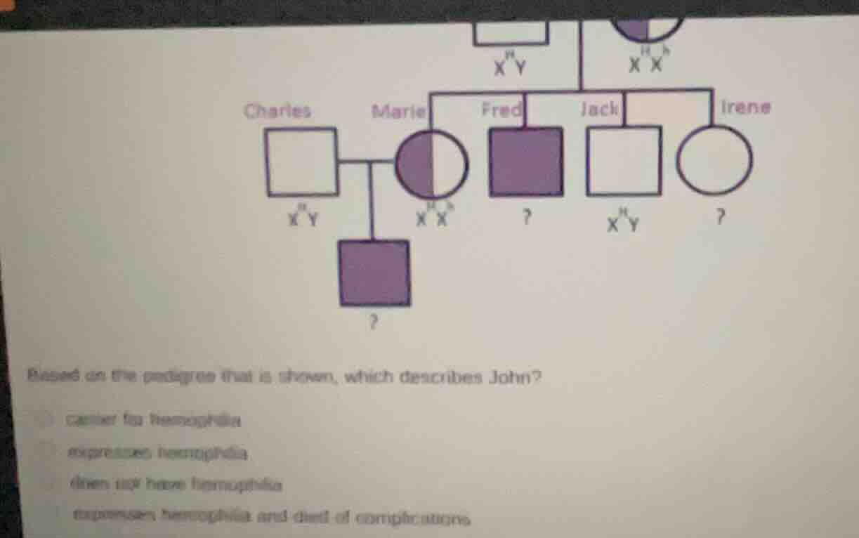 based on the pedigree that is shown, which describes john? carrier for …