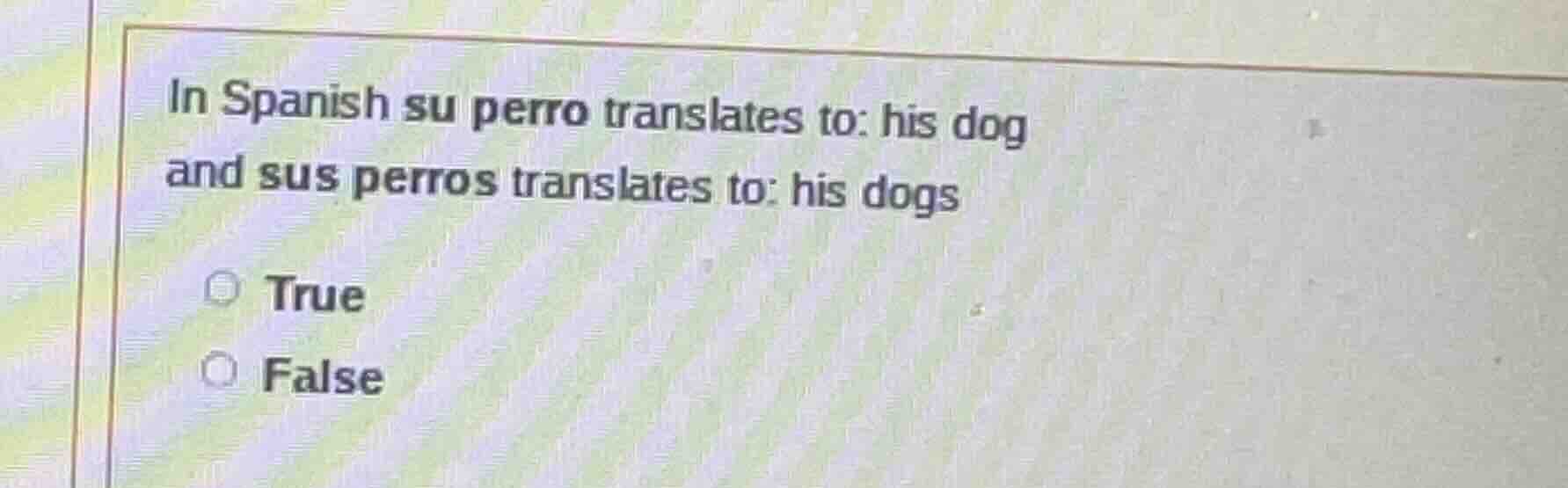in spanish su perro translates to: his dog and sus perros translates to…