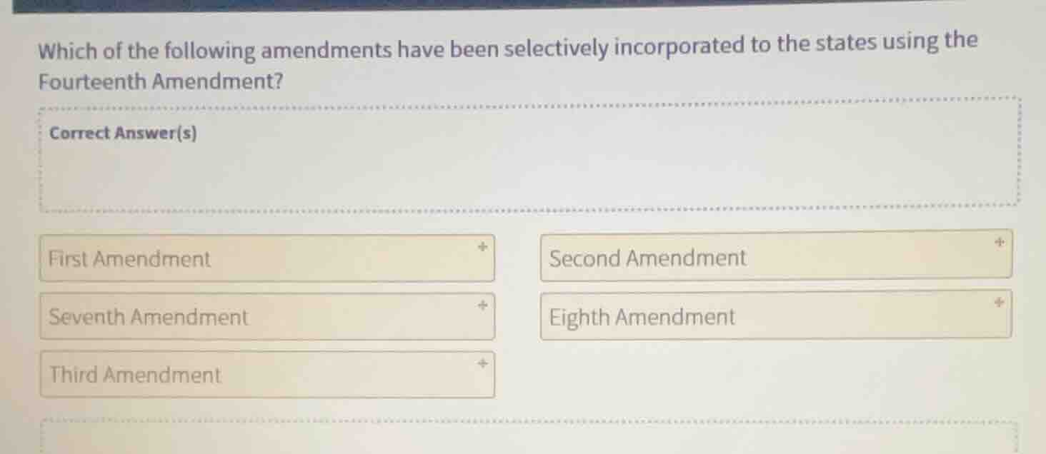 which of the following amendments have been selectively incorporated to…