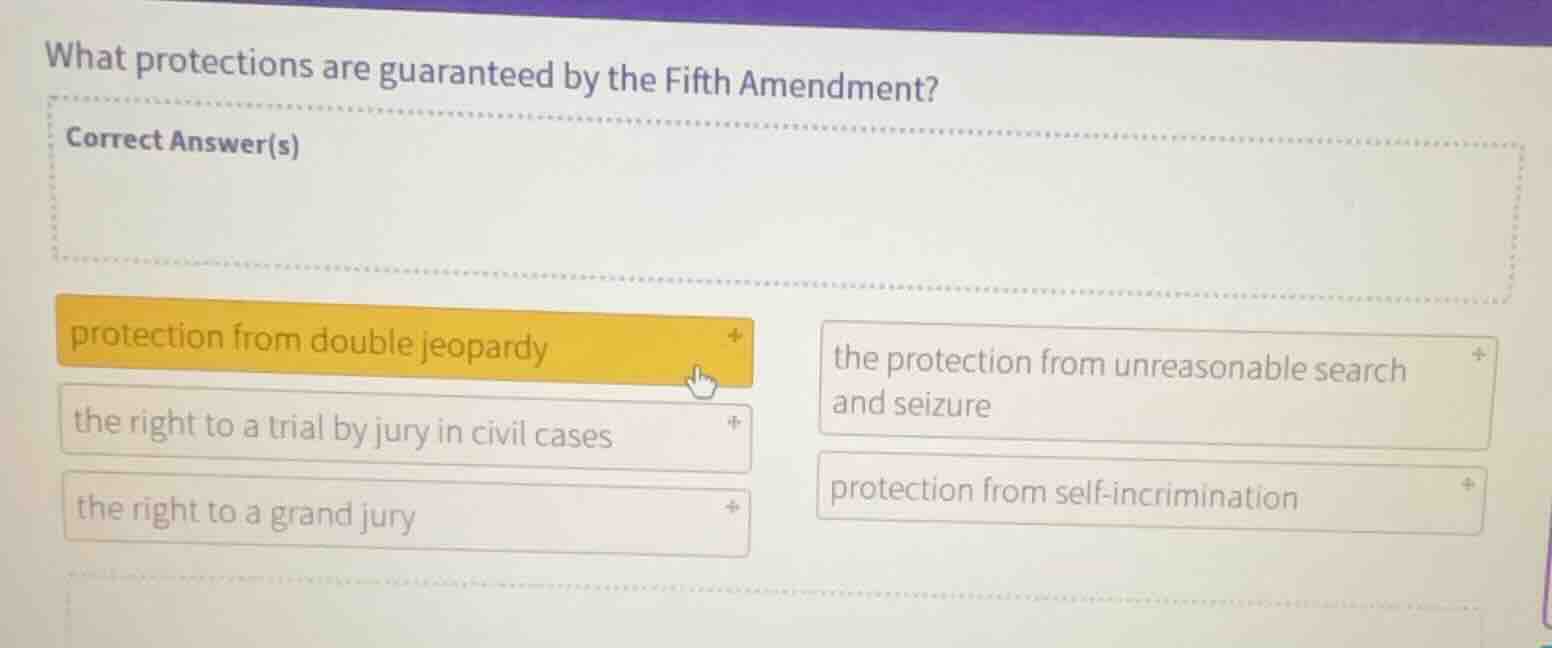 what protections are guaranteed by the fifth amendment? correct answer(…