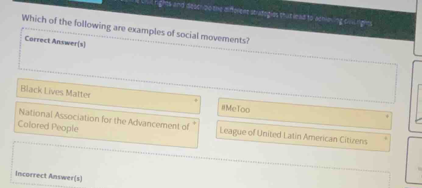 which of the following are examples of social movements? correct answer…