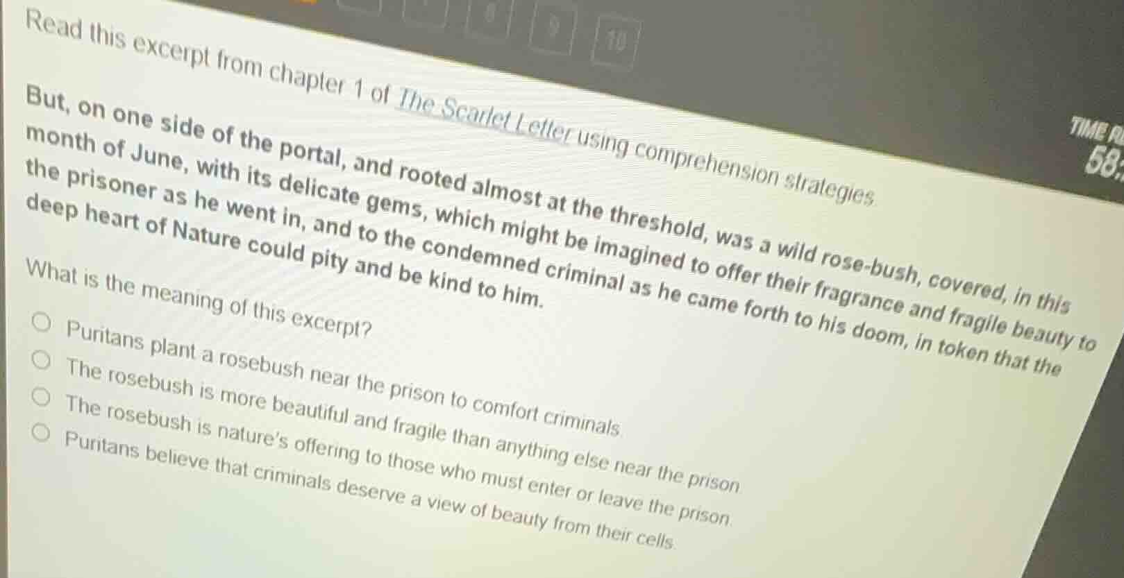 read this excerpt from chapter 1 of the scarlet letter using comprehens…