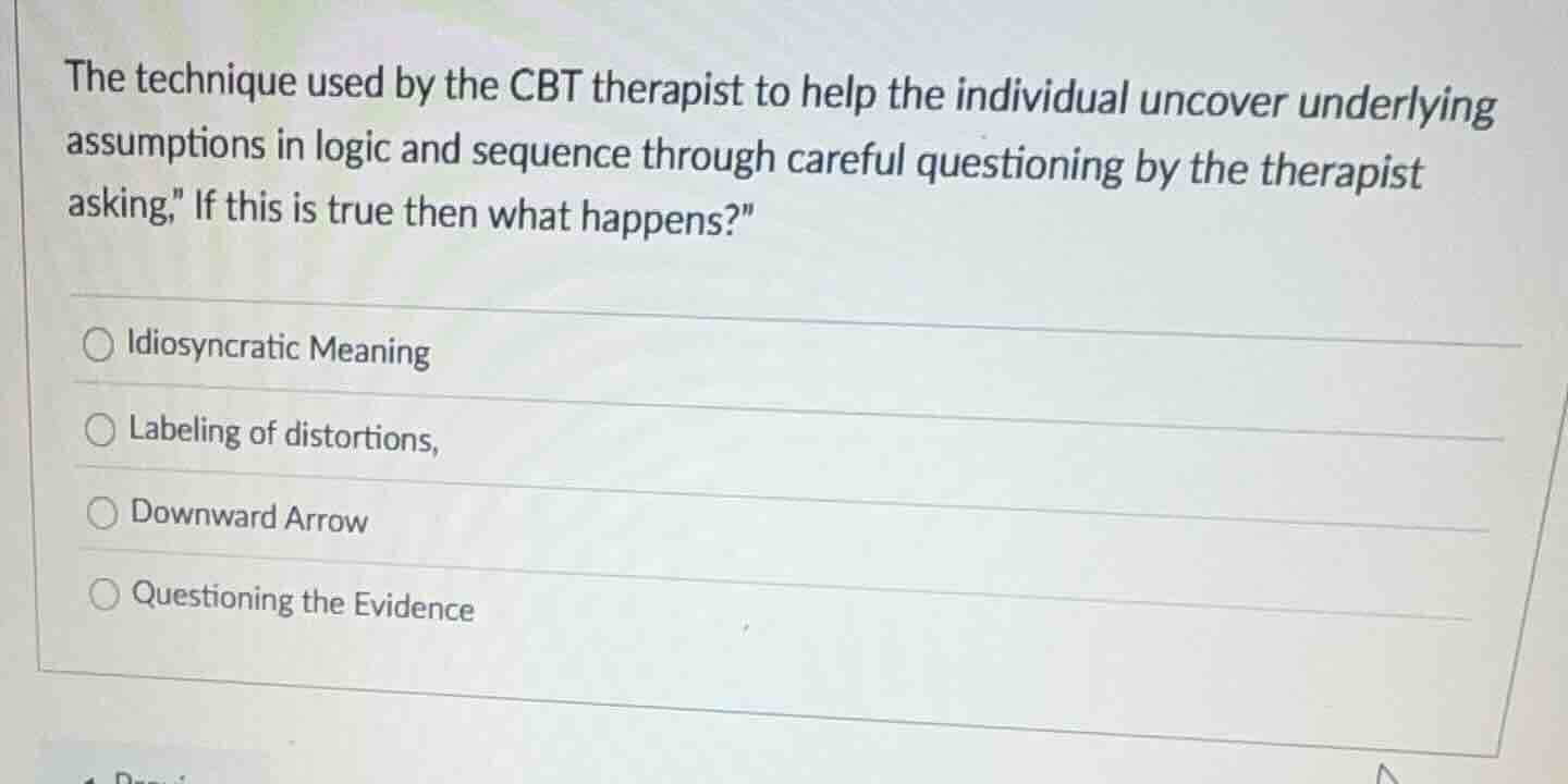 the technique used by the cbt therapist to help the individual uncover …