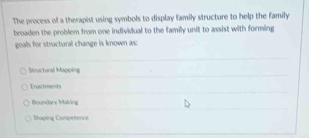 the process of a therapist using symbols to display family structure to…