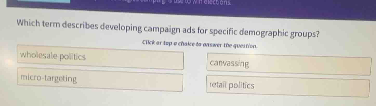 which term describes developing campaign ads for specific demographic g…