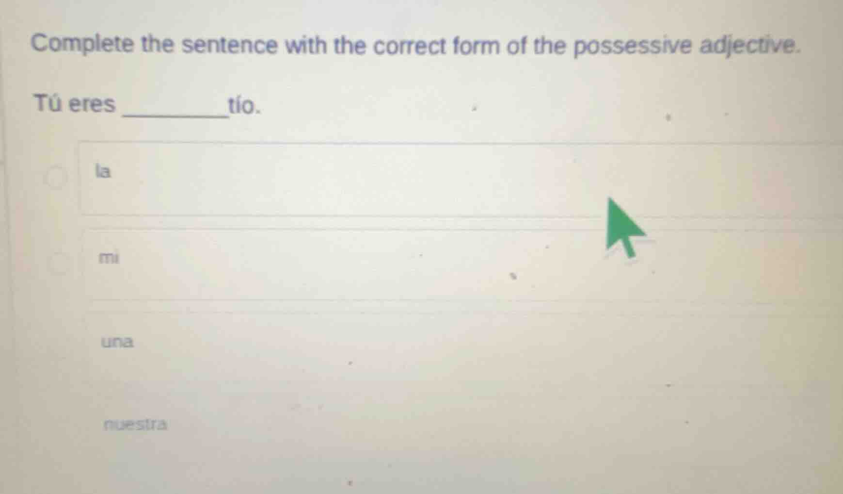 complete the sentence with the correct form of the possessive adjective…