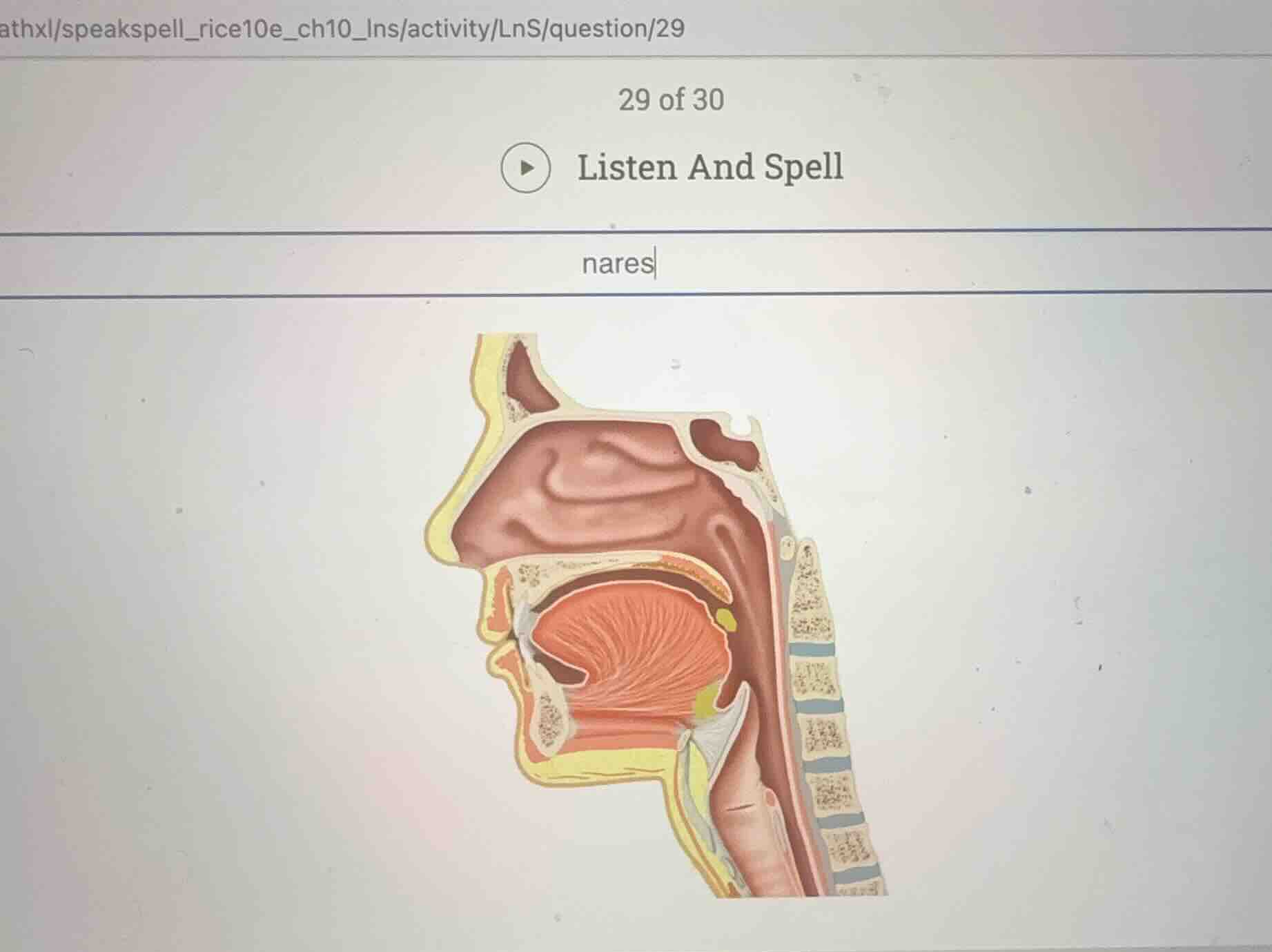 listen and spell nares