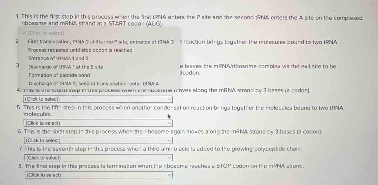 1. this is the first step in this process when the first trna enters th…