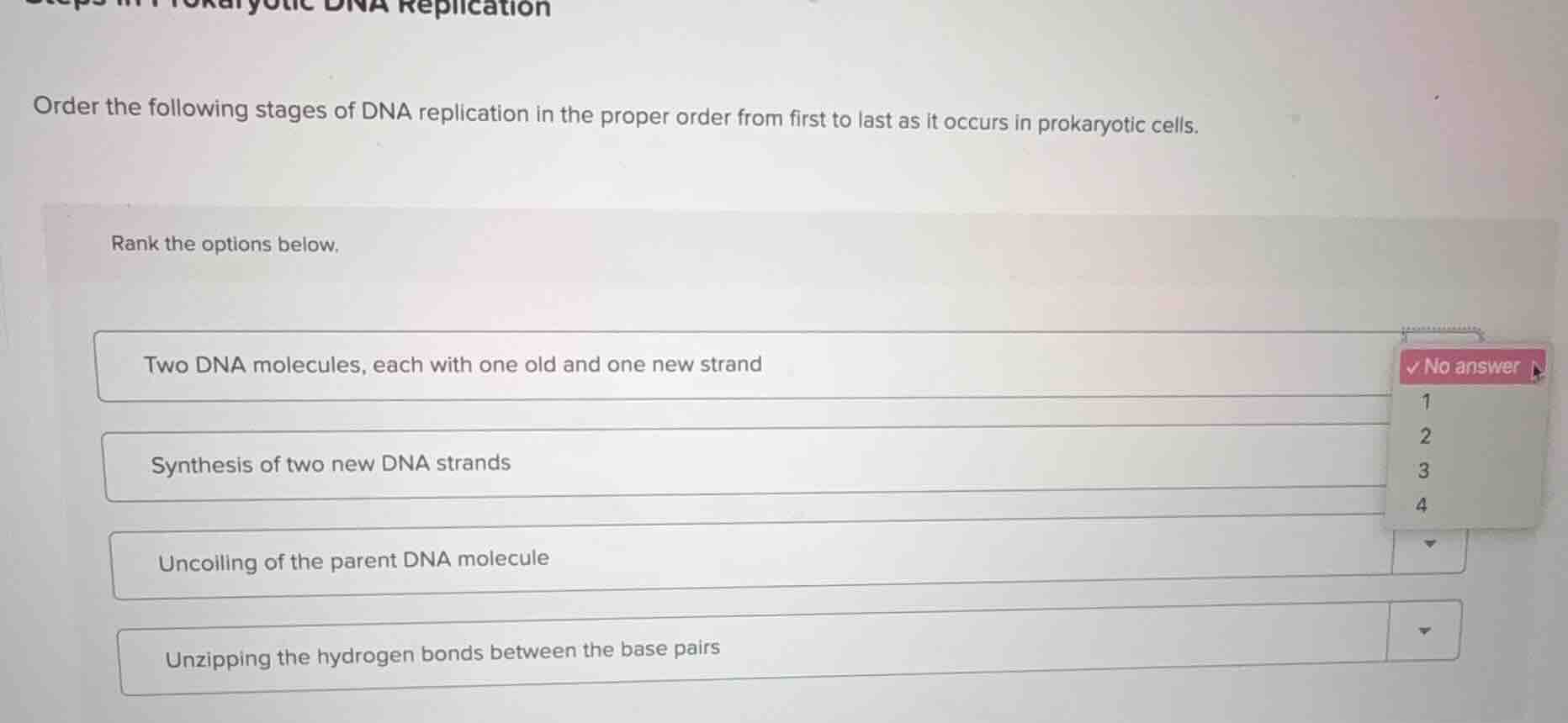steps in prokaryotic dna replication order the following stages of dna …