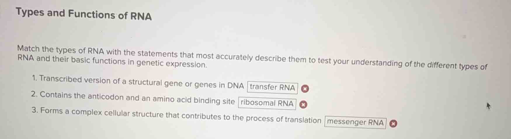 types and functions of rna match the types of rna with the statements t…
