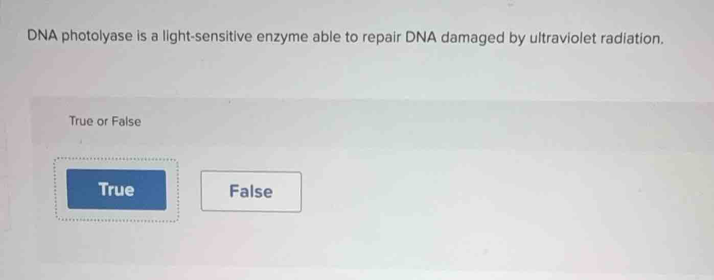 dna photolyase is a light-sensitive enzyme able to repair dna damaged b…