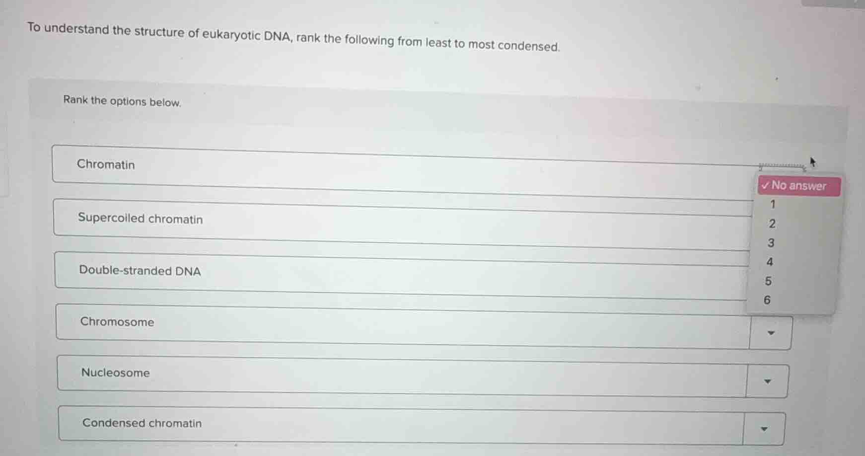 to understand the structure of eukaryotic dna, rank the following from …