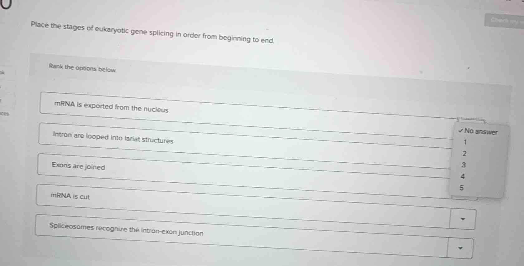 place the stages of eukaryotic gene splicing in order from beginning to…