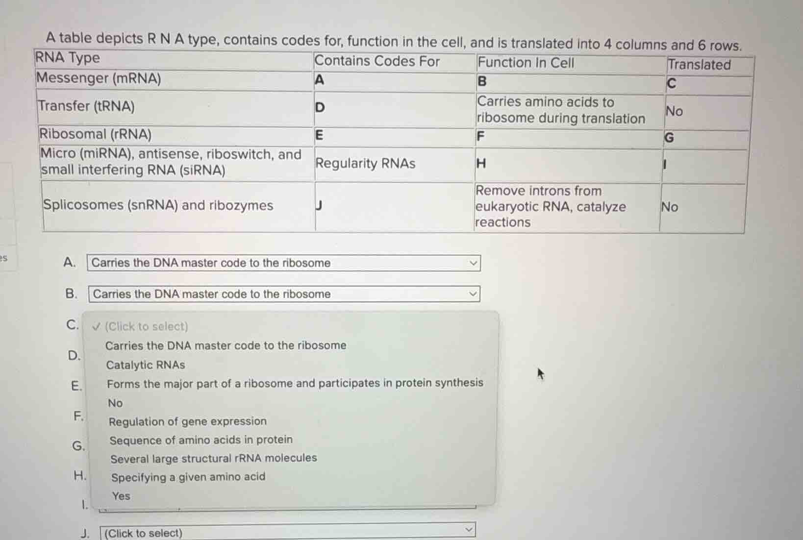 a table depicts r n a type, contains codes for, function in the cell, a…