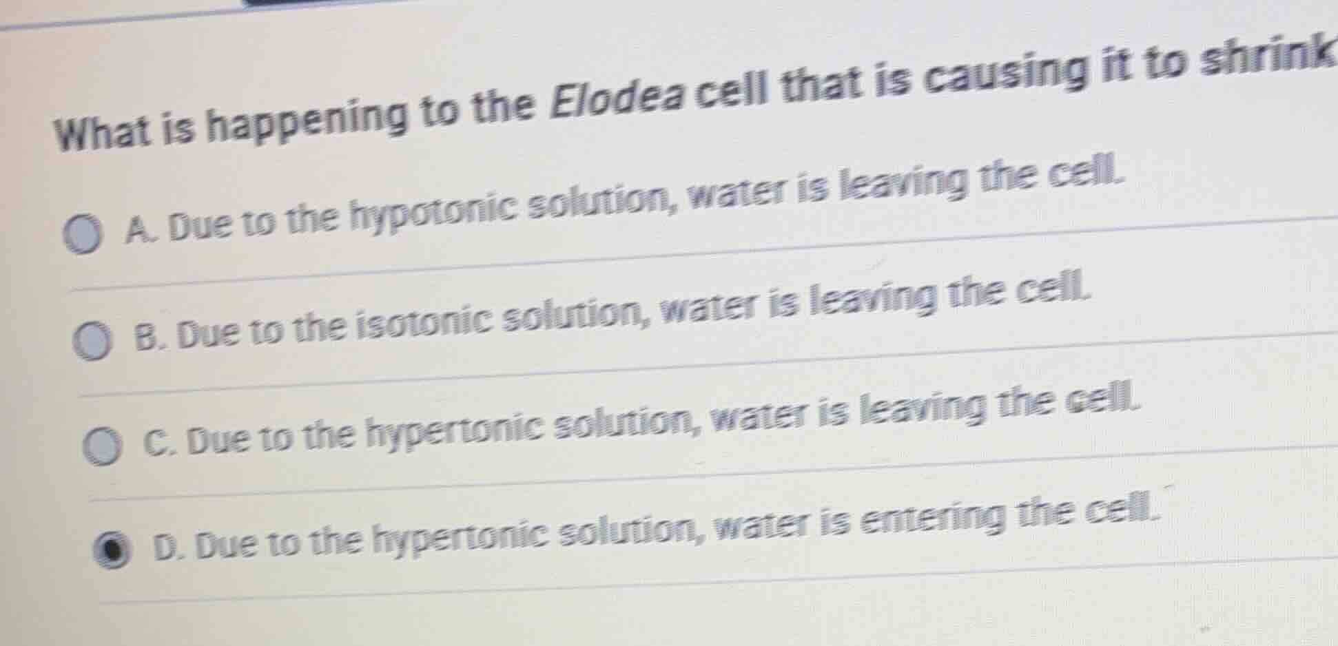 what is happening to the elodea cell that is causing it to shrink a. du…