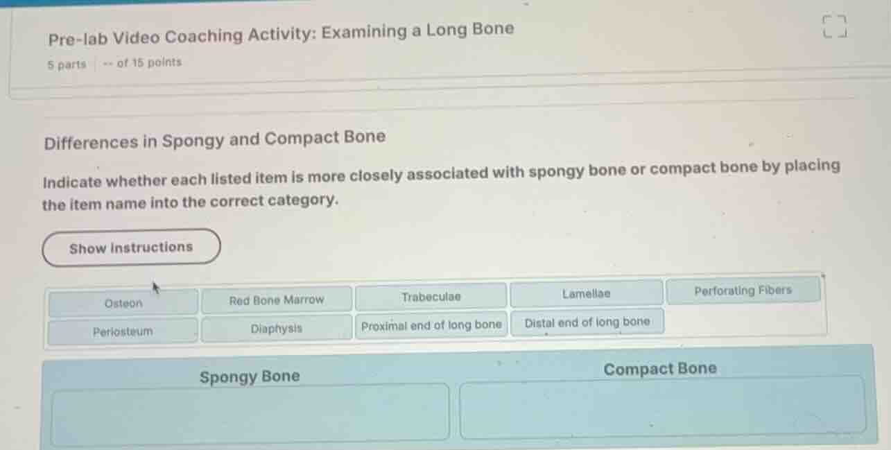 pre-lab video coaching activity: examining a long bone differences in s…
