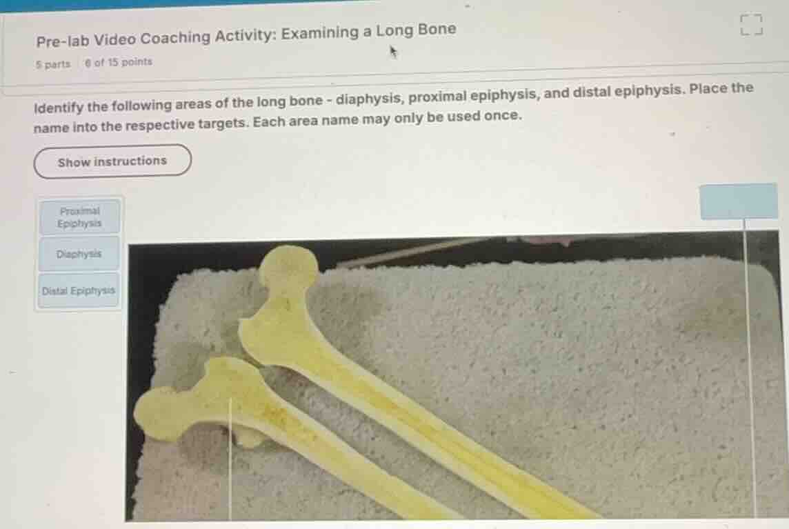 pre-lab video coaching activity: examining a long bone identify the fol…
