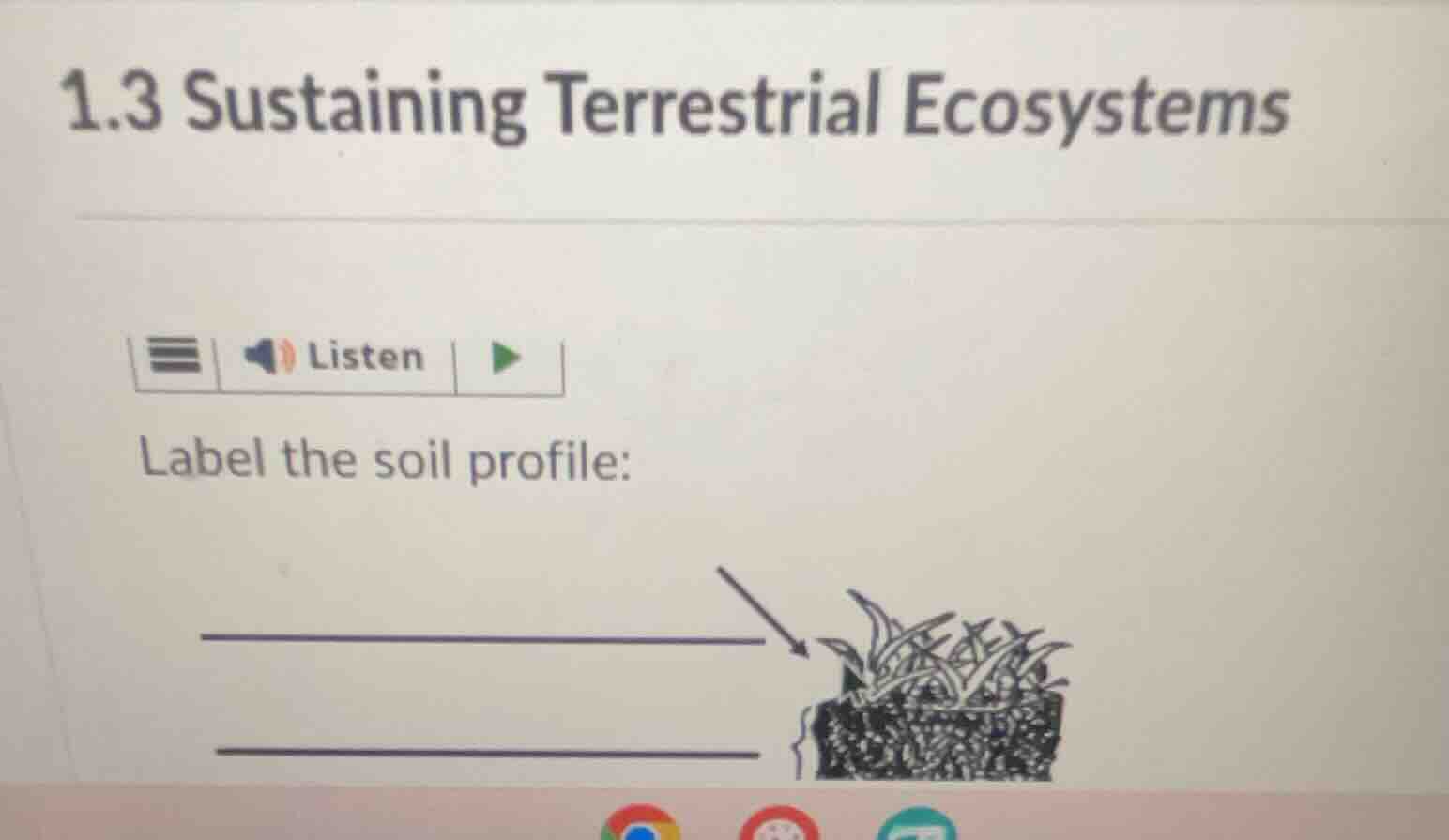 1.3 sustaining terrestrial ecosystems label the soil profile: