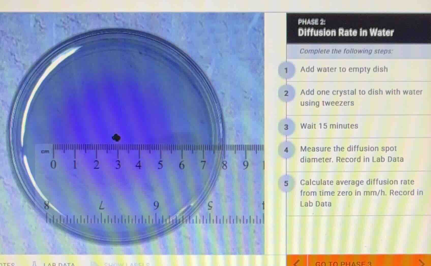 phase 2: diffusion rate in water complete the following steps: 1 add wa…