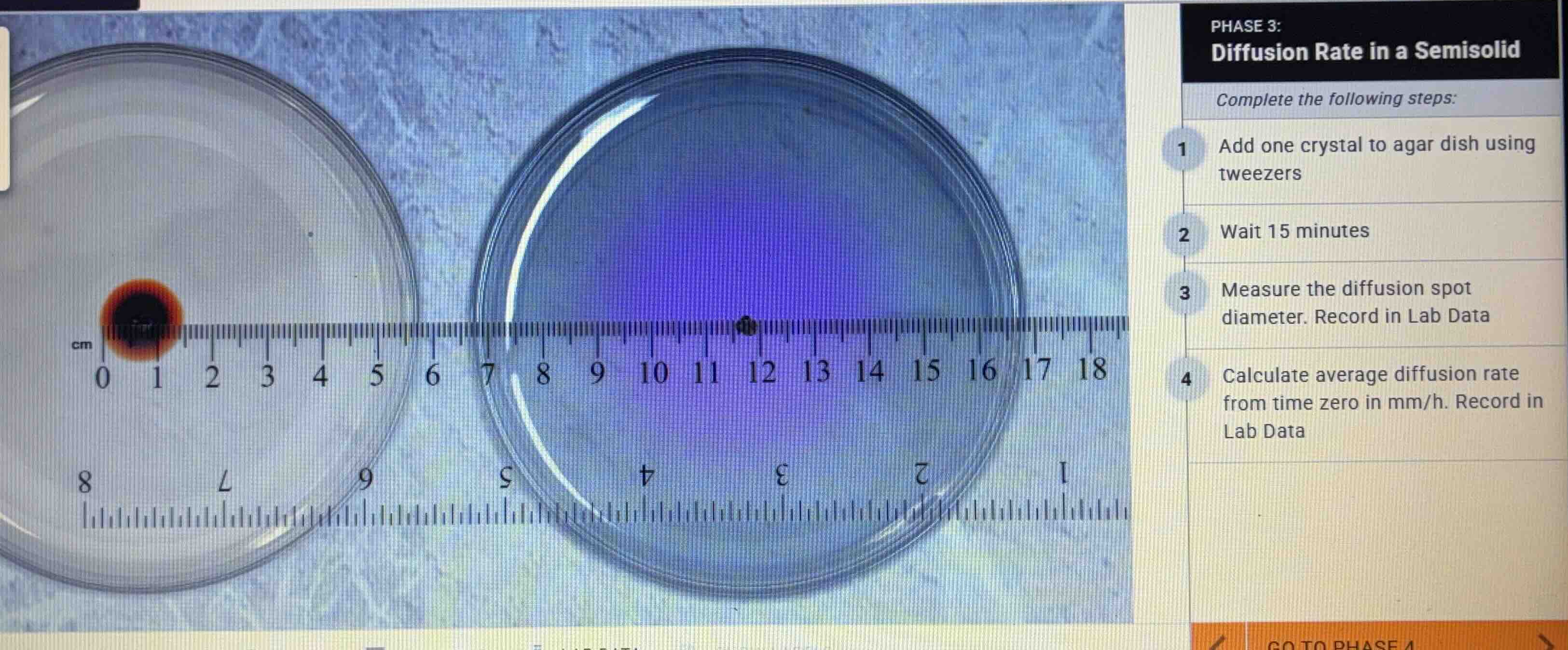 phase 3: diffusion rate in a semisolid complete the following steps: 1 …