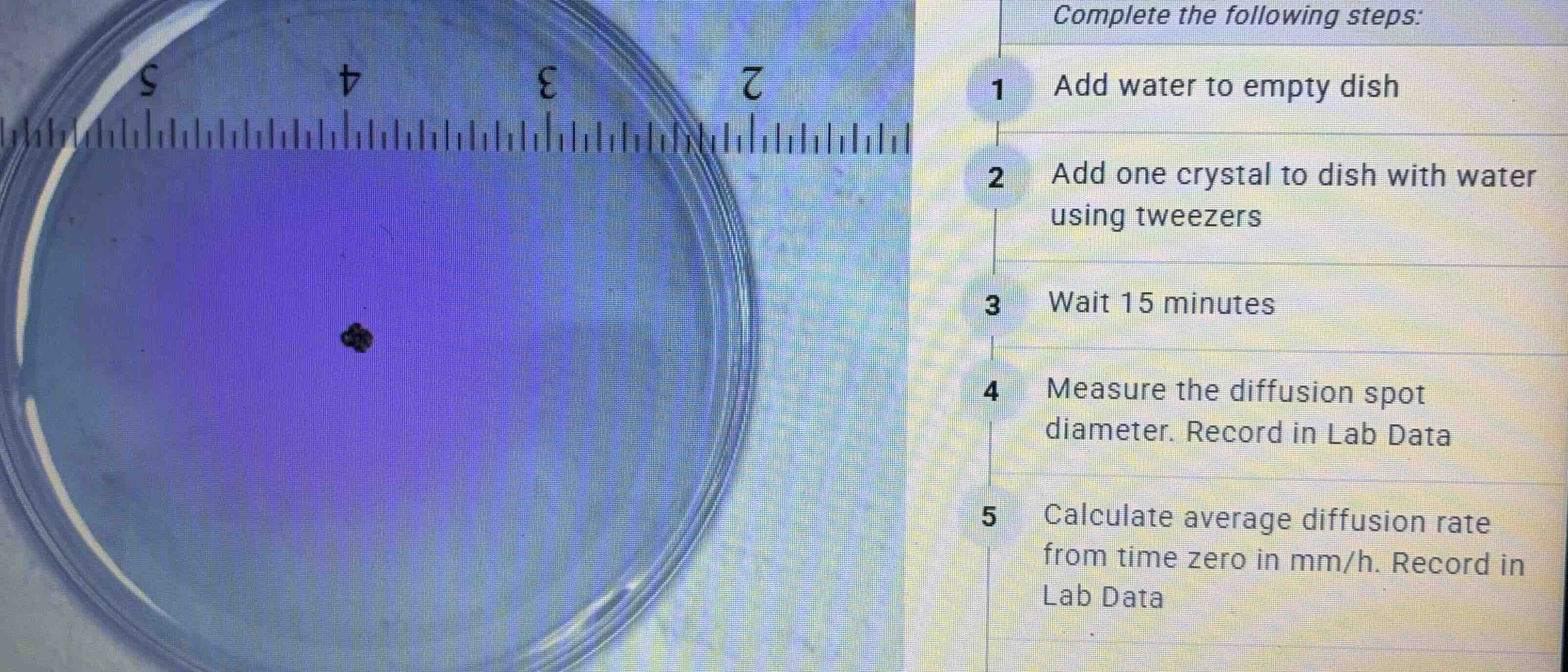 complete the following steps: 1 add water to empty dish 2 add one cryst…