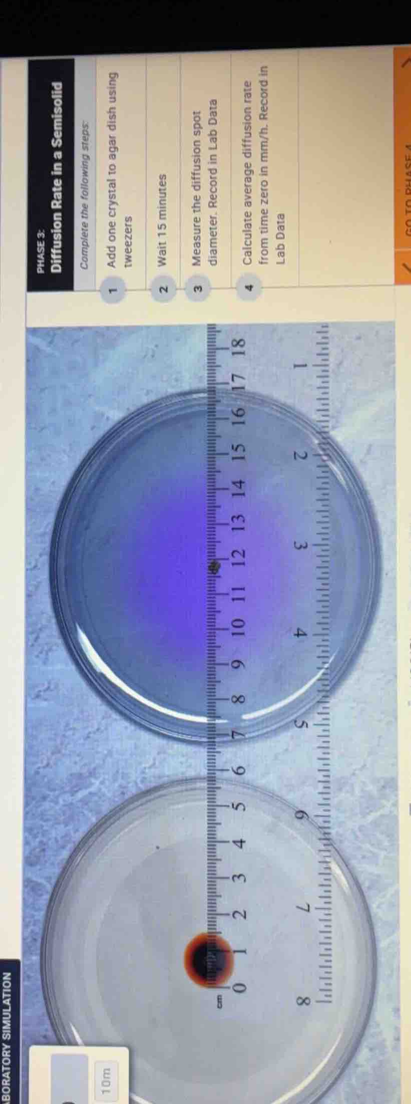 phase 3: diffusion rate in a semisolid complete the following steps: 1 …
